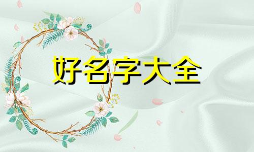 芮字取名如何起名字好不好