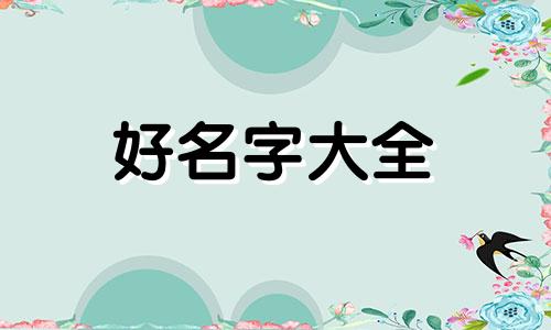 宠物店套餐如何起名称好听