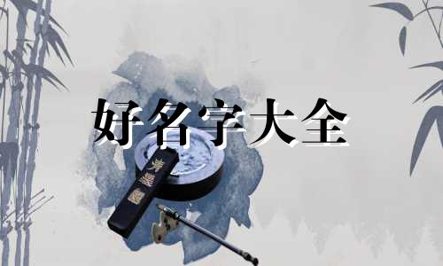 如何给饭团起名字好听一点