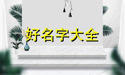 拍摄vlog如何给自己的账号起名字