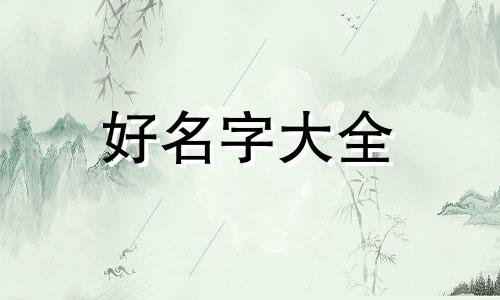 叫浩如何给店铺起名字好听