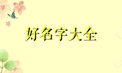 如何给宠物美容美发店起名