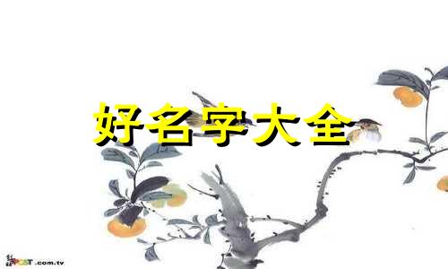 如何给一个减肥产品起名字