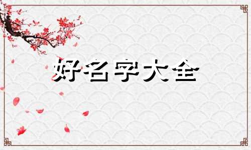 如何给毛衣起名字好听一点