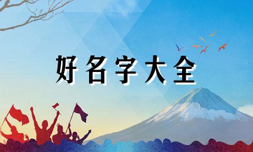 网签后如何起名字呢怎么写