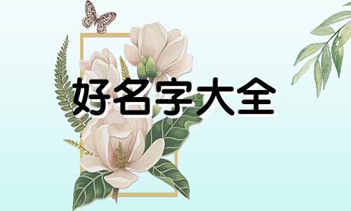 如何给猫起名字让它记住你