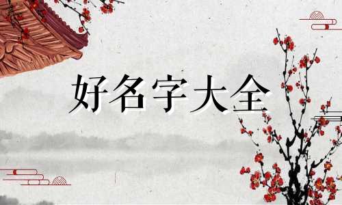 如何给纪录片起名字和图片