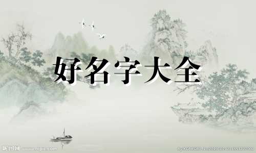 如何给三只小狗起名字呢