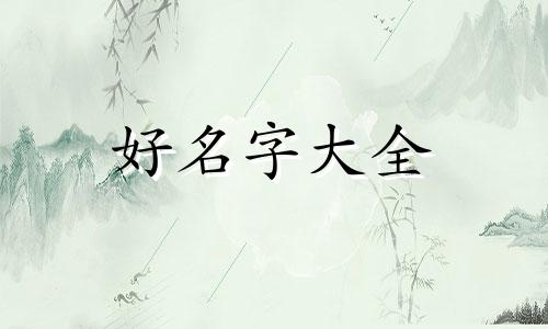 卖手机壳起号如何起名字好听