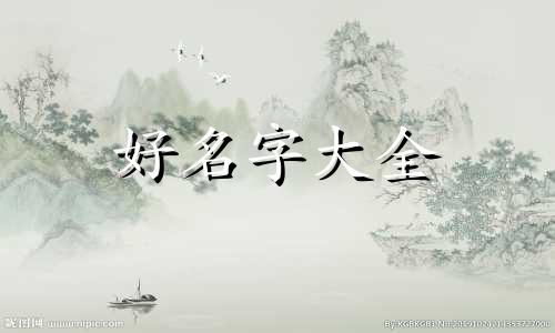 肉鸡加工厂如何起名称好听