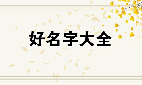 如何给汽车用品店起名字