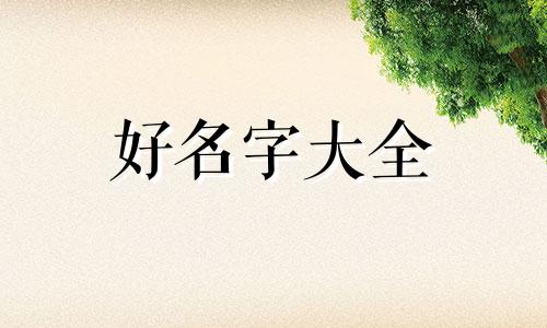 喜欢玩李元芳该如何起名字