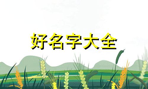 如何给公司起名字比较好听