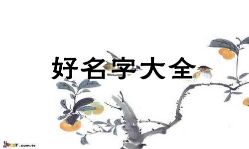 张姓金字辈后面如何起名字