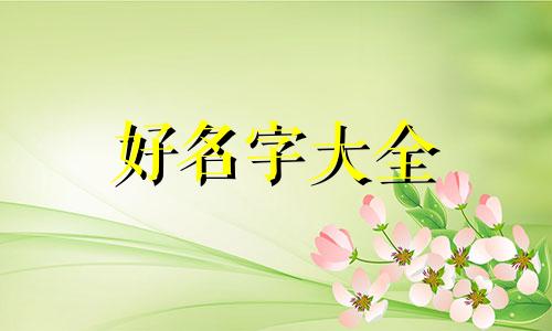 如何给字段上的索引起名字