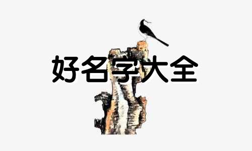如何给一支舞起名字呢