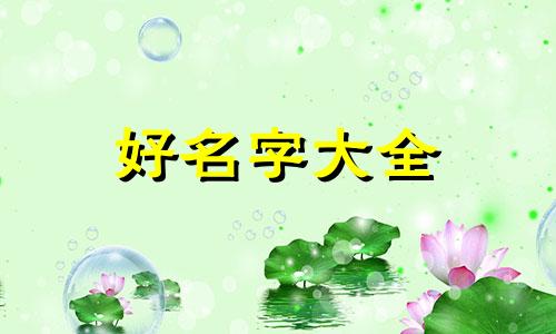 中介人如何起名的好听一些