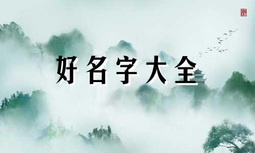 如何做一个小代理公司起名