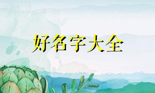 八斤八两如何起名字好听