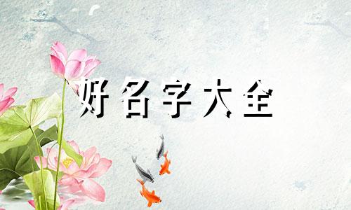 如何给心爱的山地车起名字