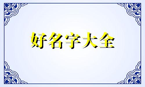 新的零食品牌如何起名字