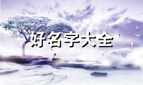 老大老二如何起名好听的名字
