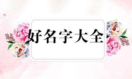 一只猫如何起名字大全男