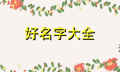 菠萝饭如何起名字两个字