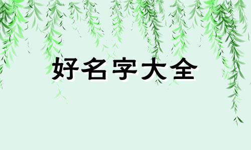 老公姓杨我姓徐如何起名字