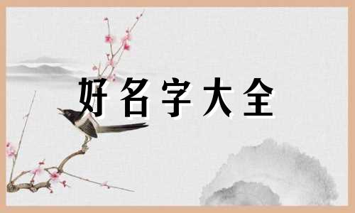 超市取名用兴华二字如何起名字