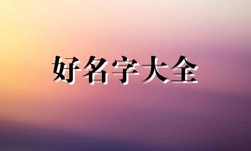 夜里11点生的娃如何起名字