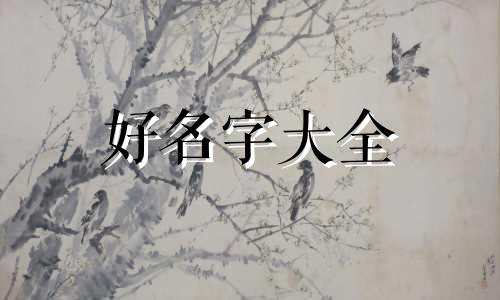 如何给日记本起名字加含意
