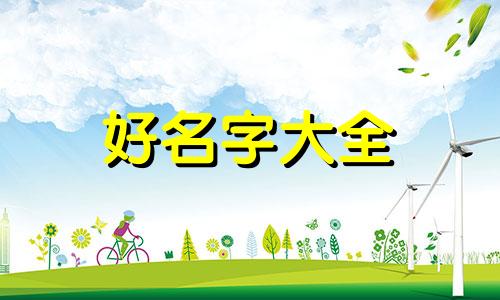 一个蘑菇形状的差距该如何起名