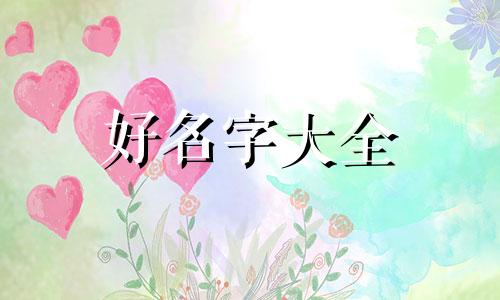 如何给司机起名字好听一点
