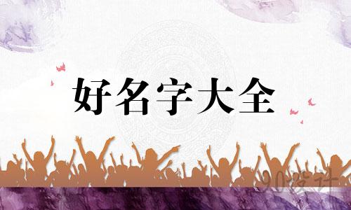 如何给狸花猫起名字好听又好记