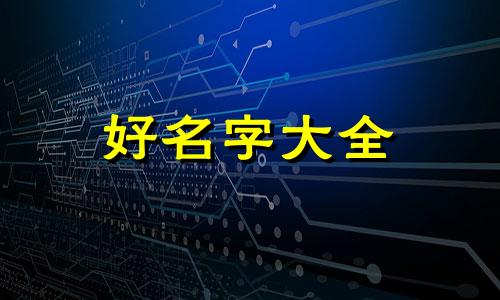 如何在家做广告公司起名称