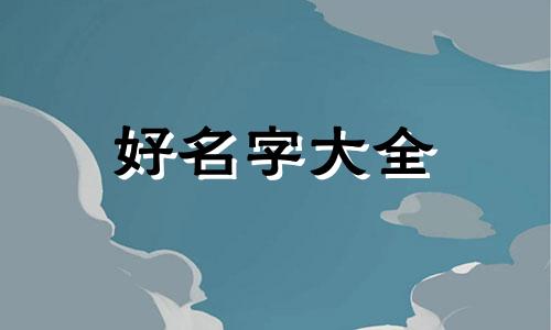 小猫咪如何起名字可爱好听