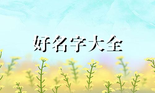 幼儿科学课程如何起名字