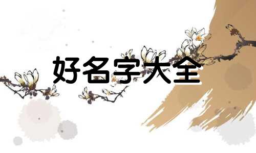 如何帮猫起名字好听女孩子