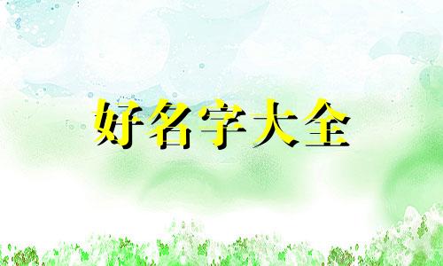 如何给小宠物起名字女孩子
