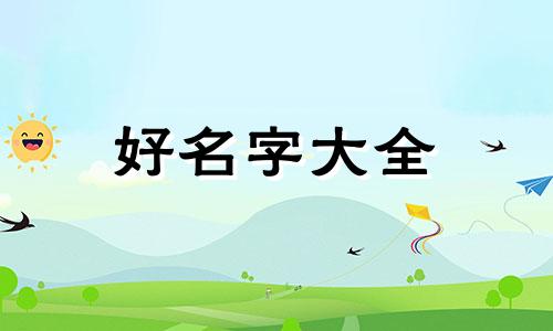 汽车供应链管理有限公司如何起名