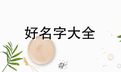 看完你就知道如何算八字起名