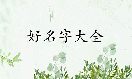 幼犬如何起名字霸气两个字