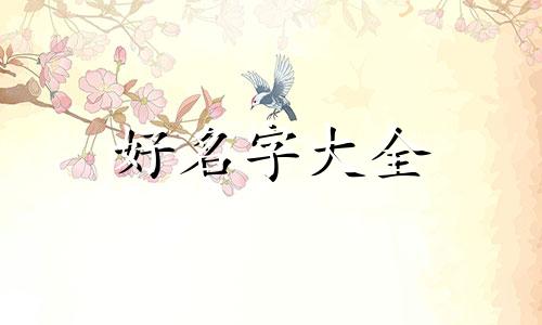 app类创业计划书如何起名字