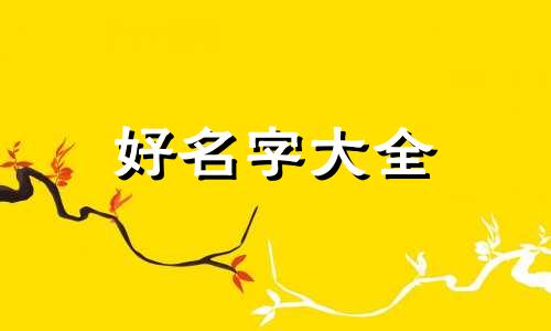 如何用小猫起名字好听一点