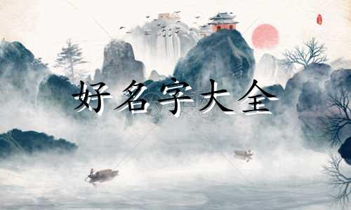 做一只小野猫如何起名字