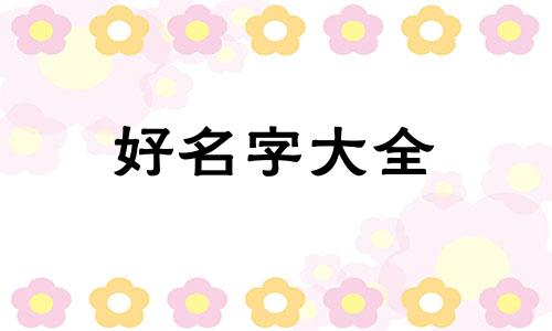 饭圈如何起名字吸引人气