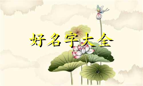 零食干果如何起名字好听