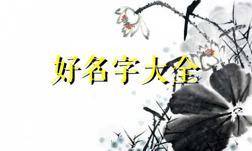 不知如何起名字好不好听