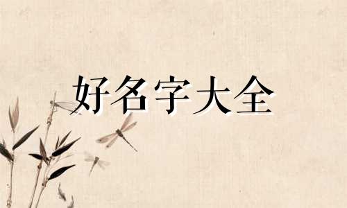 给鹦鹉如何起名字好听一点